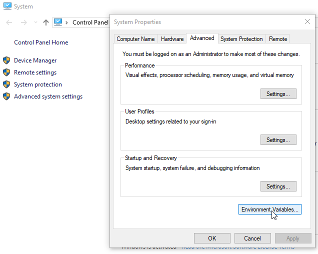 Manage System Variables